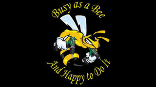 Busy as a Bee and Happy to do it!
